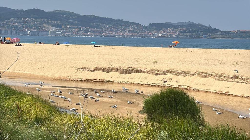 Zona protegida en Playa América y Panxón.