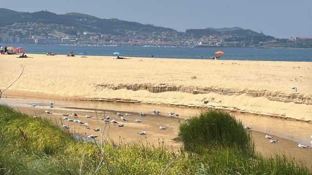 Zona protegida en Playa América y Panxón.