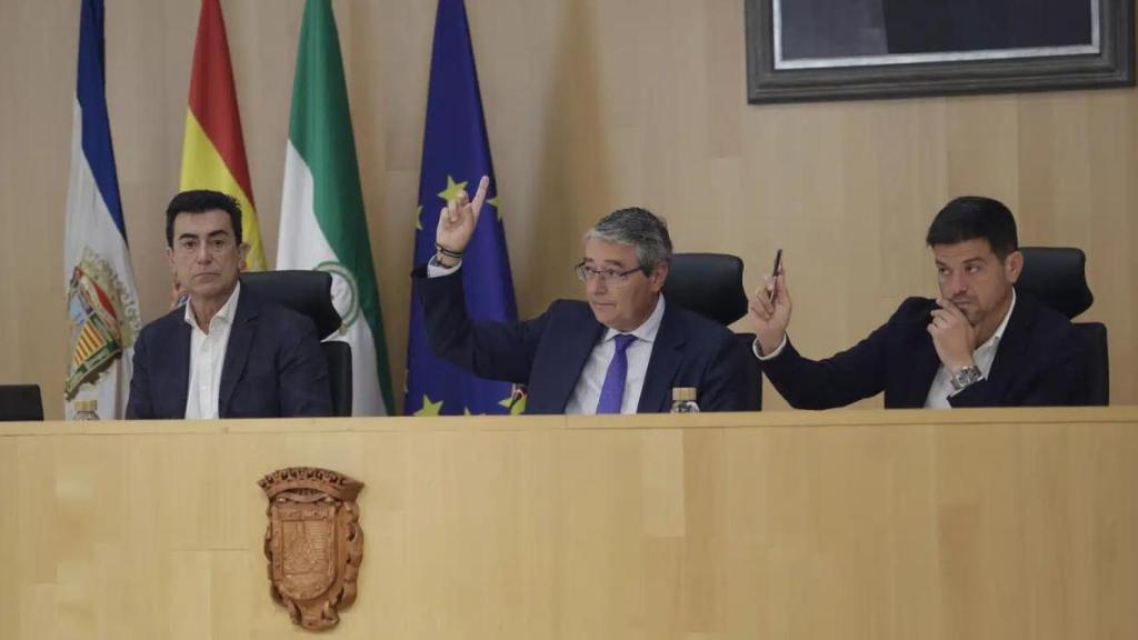 Imagen del Pleno de la Diputación provincial de Málaga.