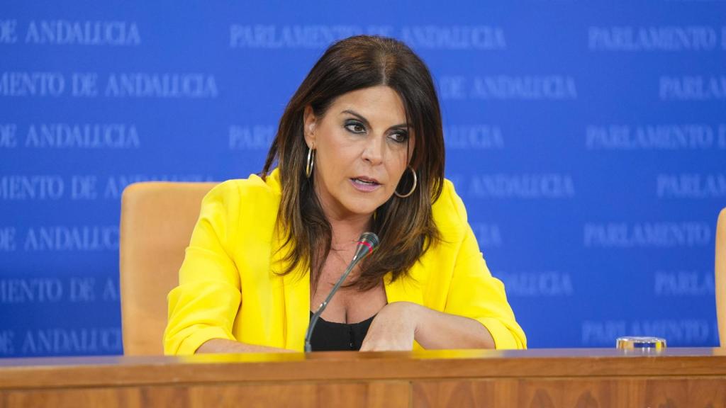 Ángeles Férriz, este miércoles en el Parlamento de Andalucía.