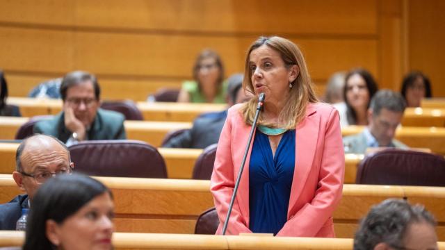 Esther del Brío en el Senado