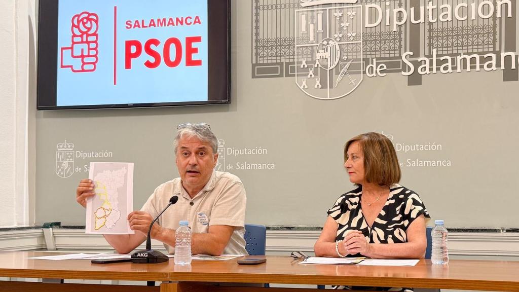 La diputada socialista Carmen Ávila, junto al portavoz del grupo, Fernando Rubio