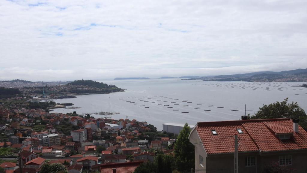 Vistas de Vigo y su Ría desde la Senda del Agua