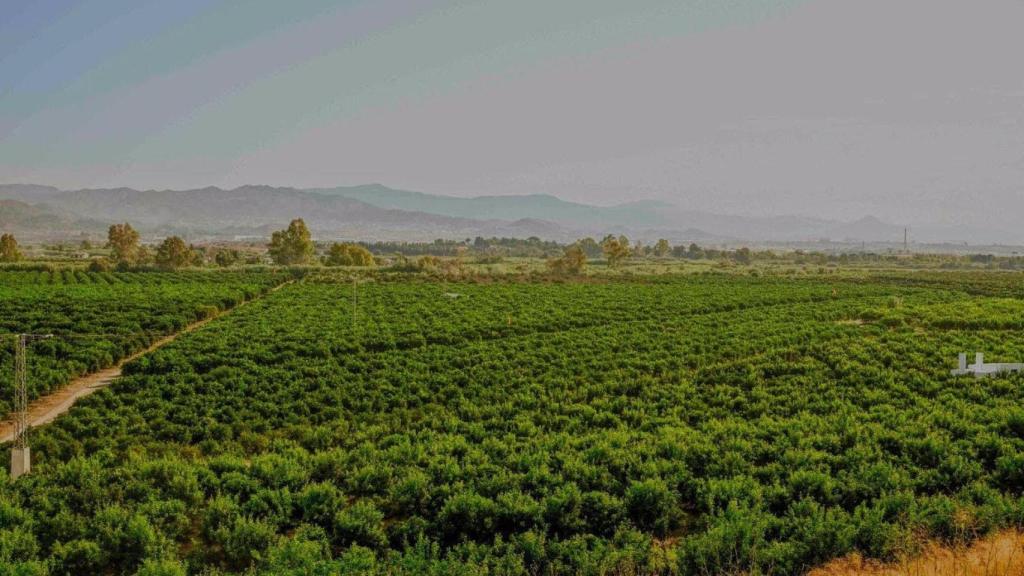Los terrenos de la Vega de Mestanza, donde se construirá la EDAR Norte de Málaga.