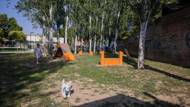 El parque Royo del Rabal reabre sus puertas tras una profunda renovación.