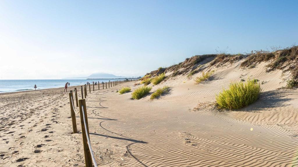 Playa de Terranova en Oliva. Turisme CV