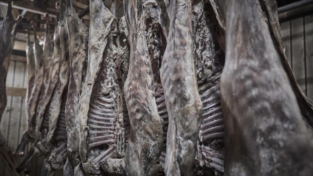 Carne secándose con el método del ræst.