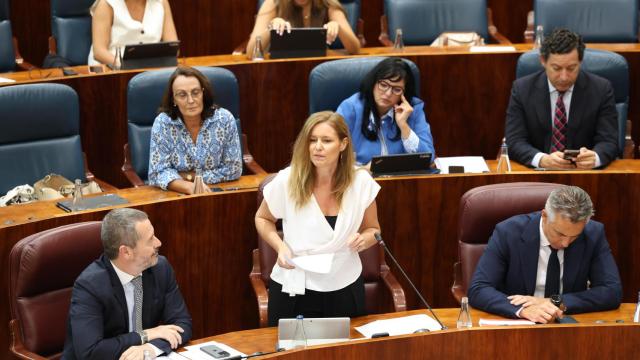 La consejera de Familia, Juventud y Asuntos Sociales, Ana Dávila, interviene durante un pleno en la Asamblea de Madrid, a 19 de septiembre de 2024.