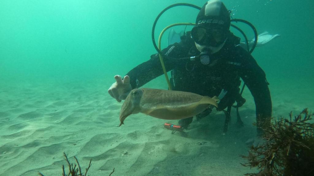 Bautismo de buceo en un pueblo de A Coruña