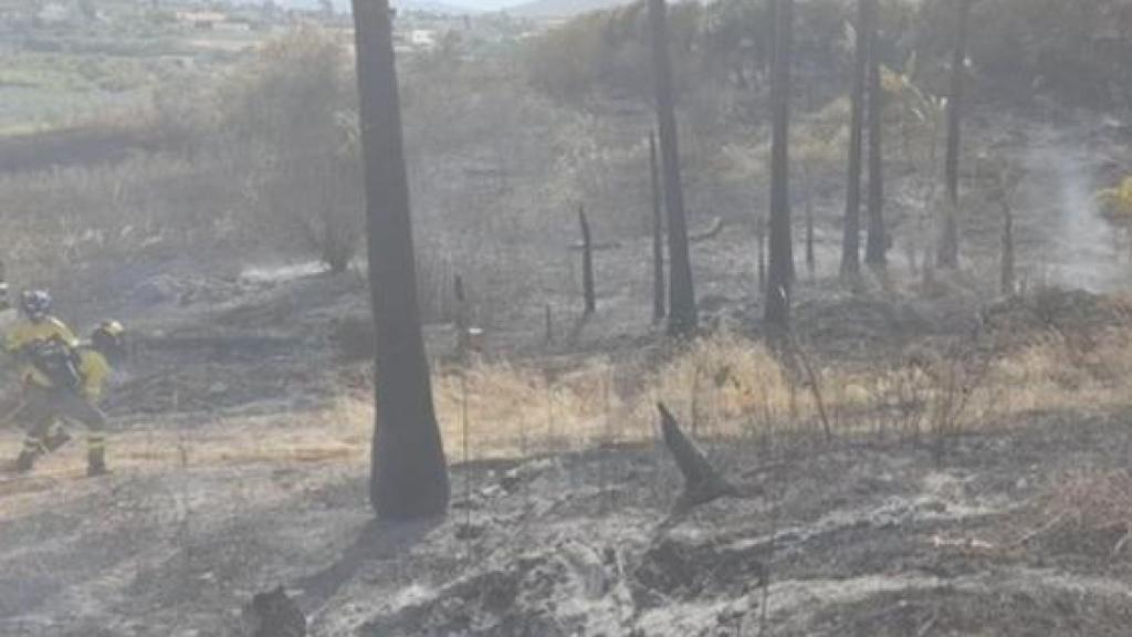 El incendio forestal.