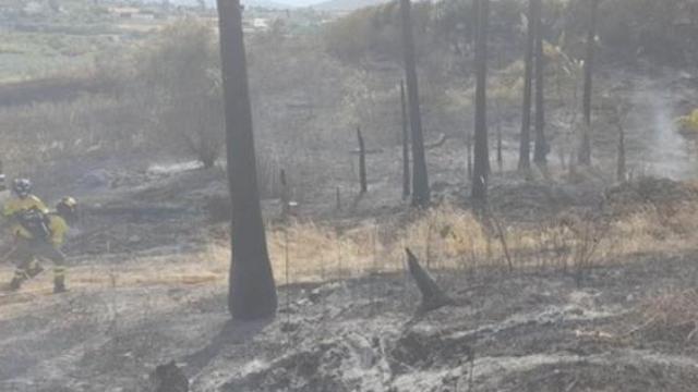 El incendio forestal.