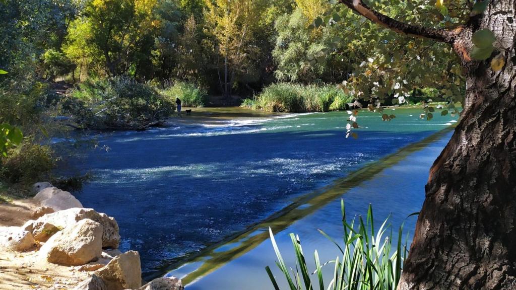 La zona frecuentada por bañistas de la Presa del Cayo del Henares.