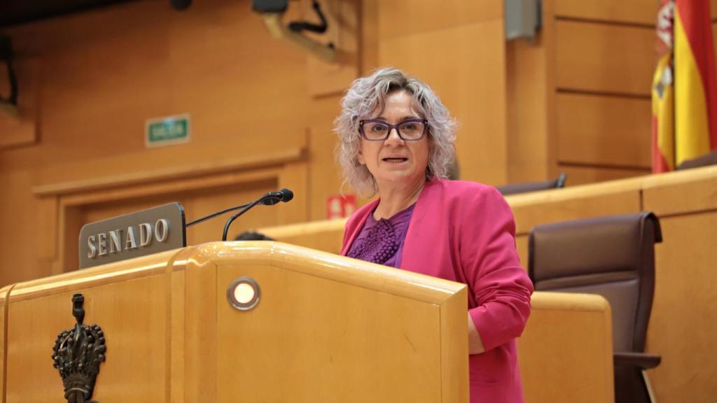 Elena Diego durante una intervención en el Senado