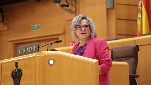 Elena Diego durante una intervención en el Senado