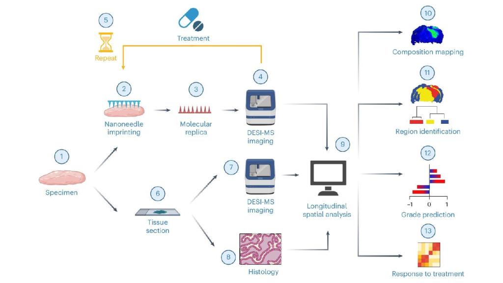 Diagrama de los investigadores sobre los tipos de biopsia