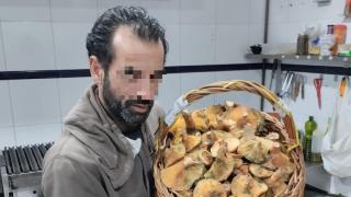 david monge definitivo