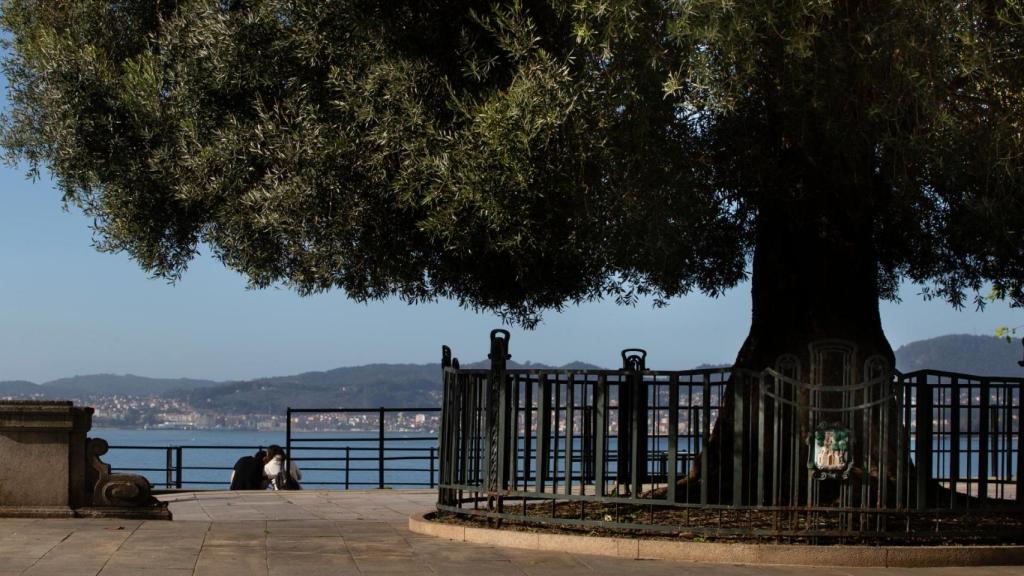 Un símbolo de Vigo será la imagen del Cupón Diario de la ONCE