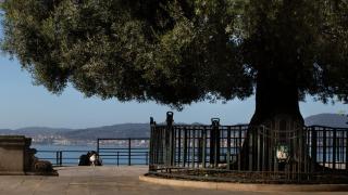 Un símbolo de Vigo será la imagen del Cupón Diario de la ONCE