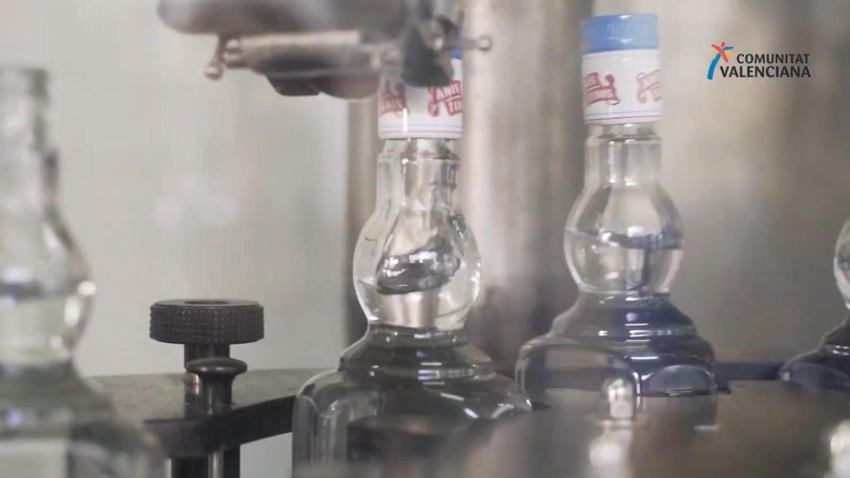 Embotellamiento del Anís Paloma.