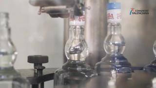 Embotellamiento del Anís Paloma.