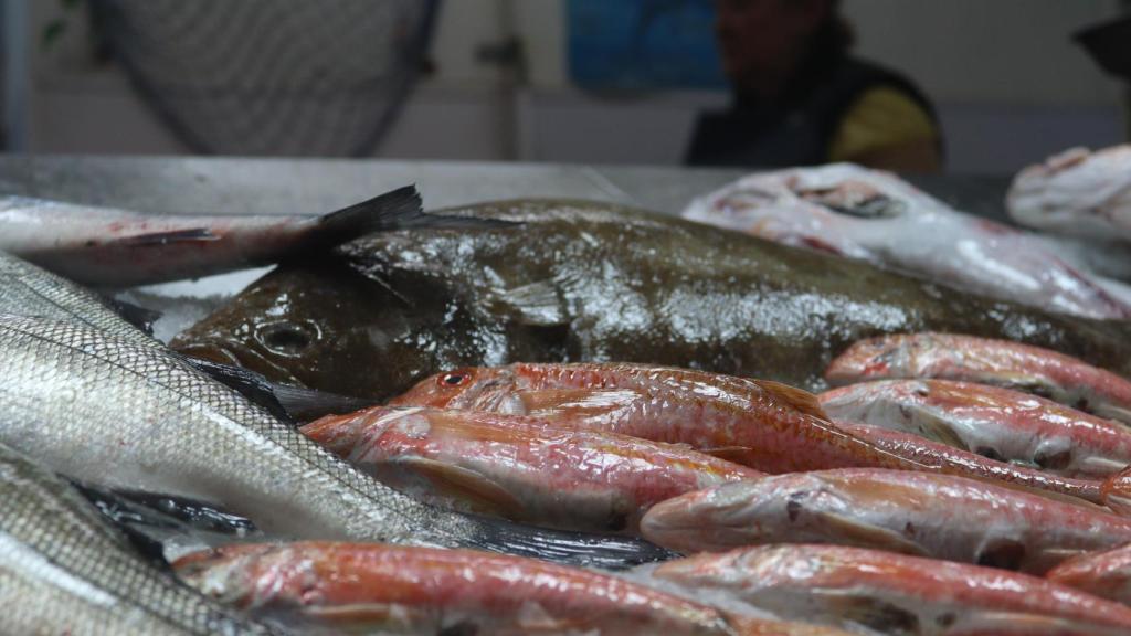 Pescado expuesto en la Pescadería Flipper