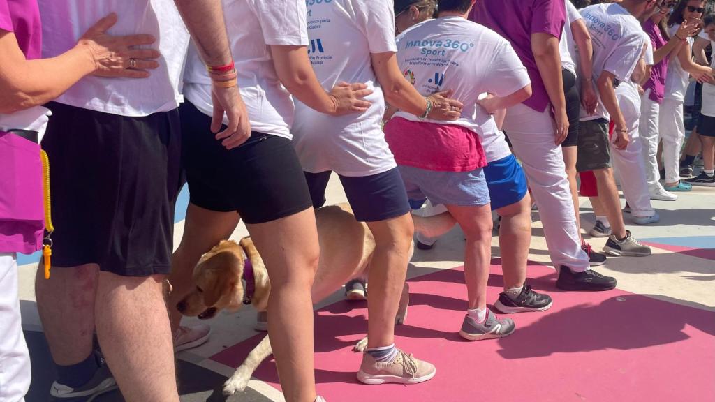 Inauguración de Innova360º Sport