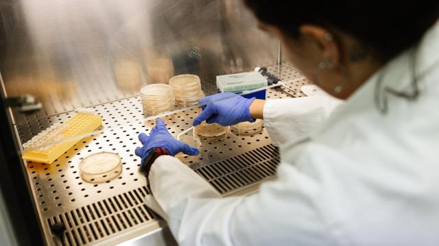 Investigación en la ULE