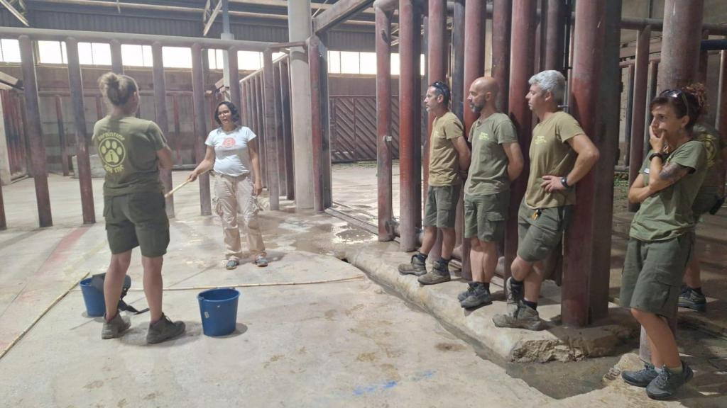Los entrenadores de elefantes de Terra Natura.