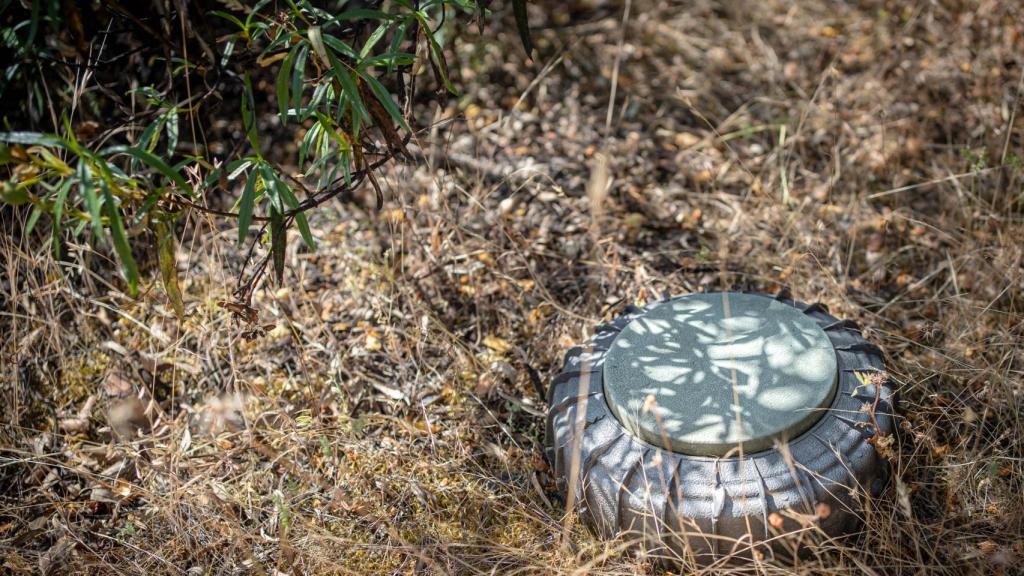 Una mina contracarro en el campo de maniobras de la Academia de Ingenieros de Toledo.
