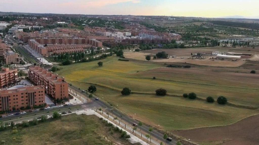 Terrenos del Cerro del Baile, en San Sebastián de los Reyes
