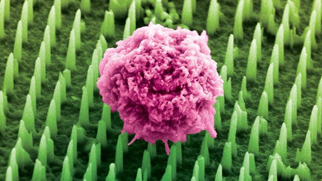 Recreación de un tejido y las nanoagujas que lo 'copian'