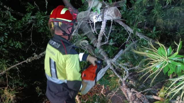 Un efectivo troceando el árbol entre Trabazos y Portugal