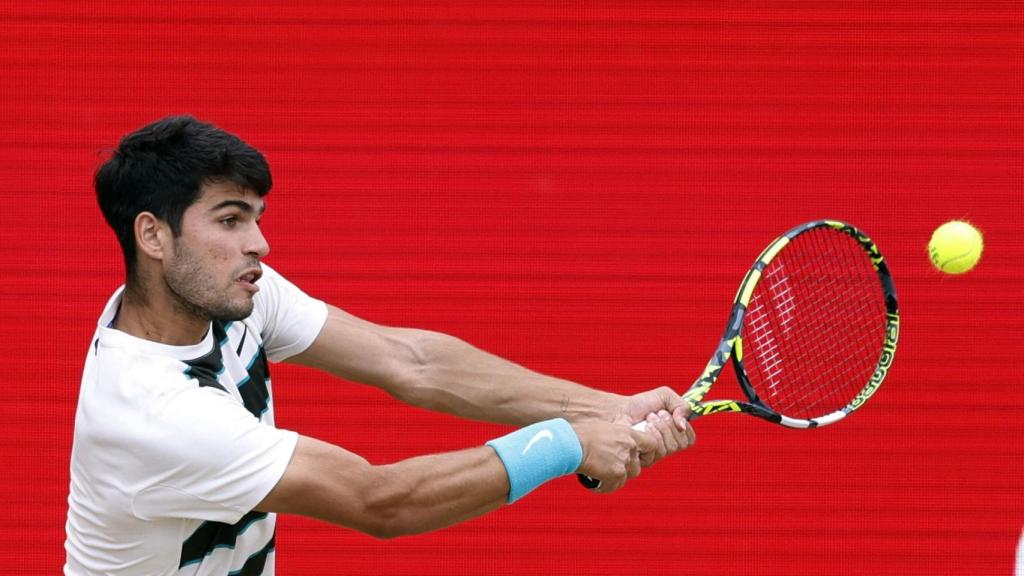 Alcaraz, durante la final de Queen's contra Lehecka.