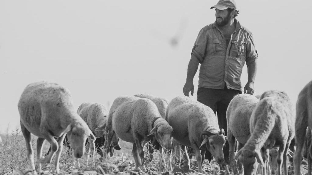 Felipe Molina con su rebaño.