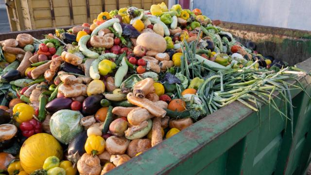 Desperdicio alimentario.
