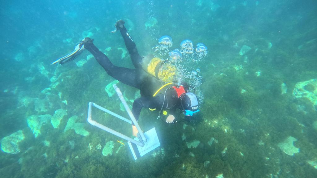 Trabajo de campo del informe 'Bosques sumergidos'.