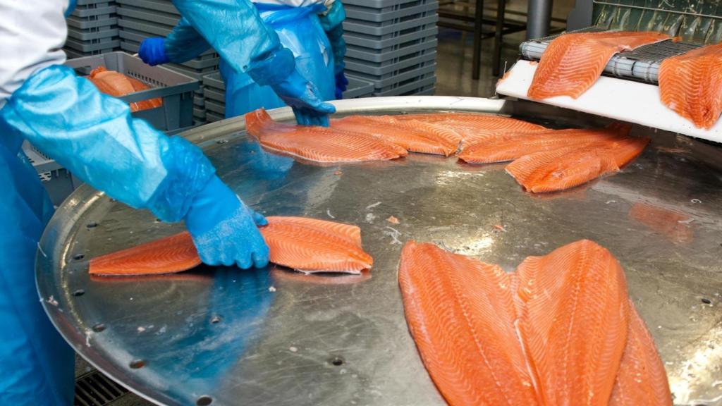 Trabajadores en una conservera