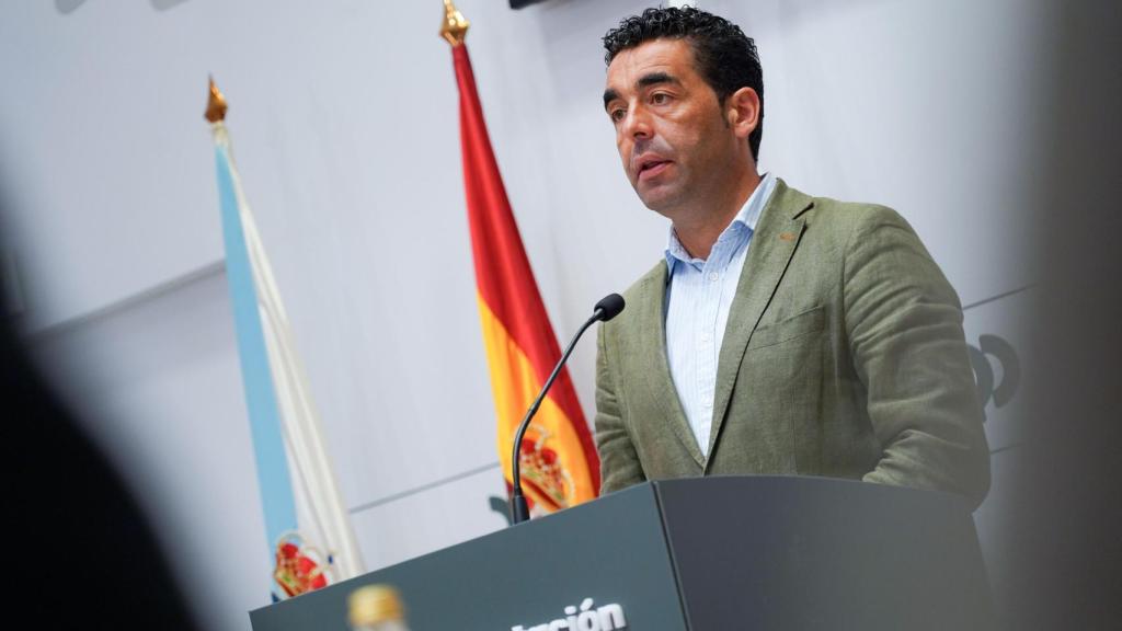 El presidente de la Diputación de Pontevedra, Luis López.