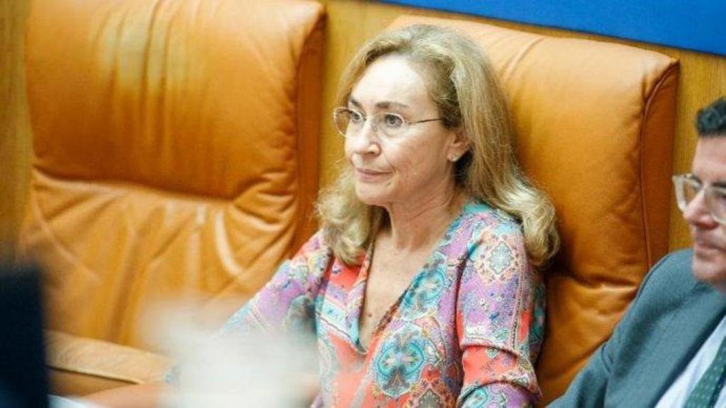 La consejera de Salud, María Martín de La Rioja