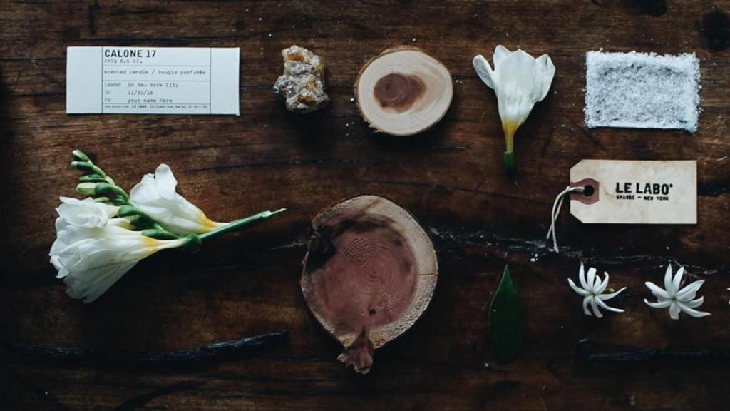 Bodegón de Le Labo Calone 17 para ilustrar la composición de la fragancia.