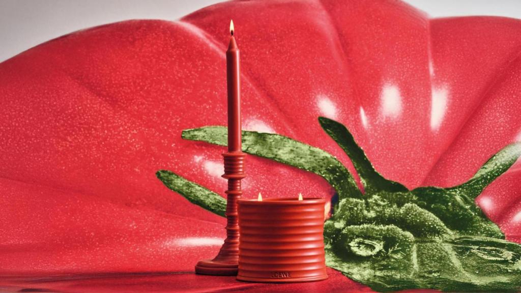 Aroma Tomato Leaves de Loewe.