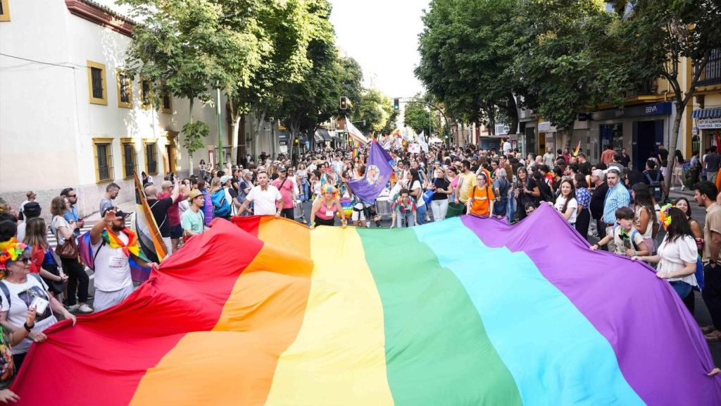 Detalle de la manifestación del Día del Orgullo, a 29 de junio de 2024 en Sevilla.