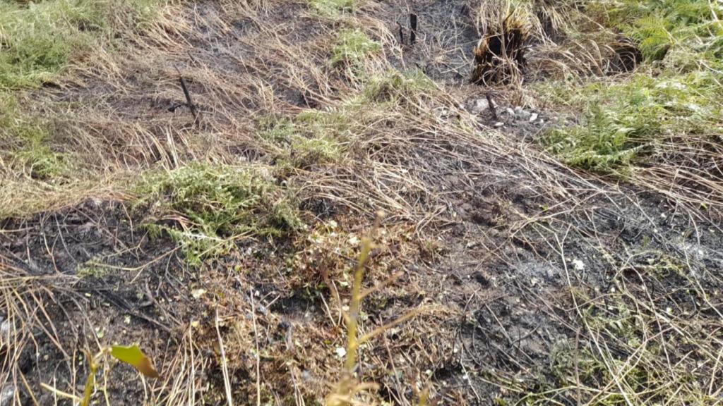 Arde una finca en Betanzos (A Coruña)