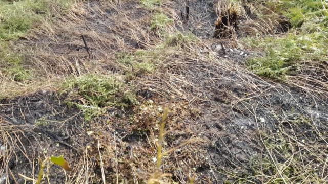 Arde una finca en Betanzos (A Coruña)