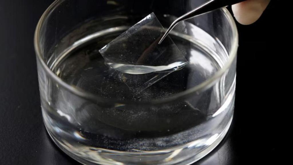 El nuevo plástico logra degradarse en agua salada sin liberar dióxido de carbono ni sustancias tóxicas, garantizando seguridad ambiental.