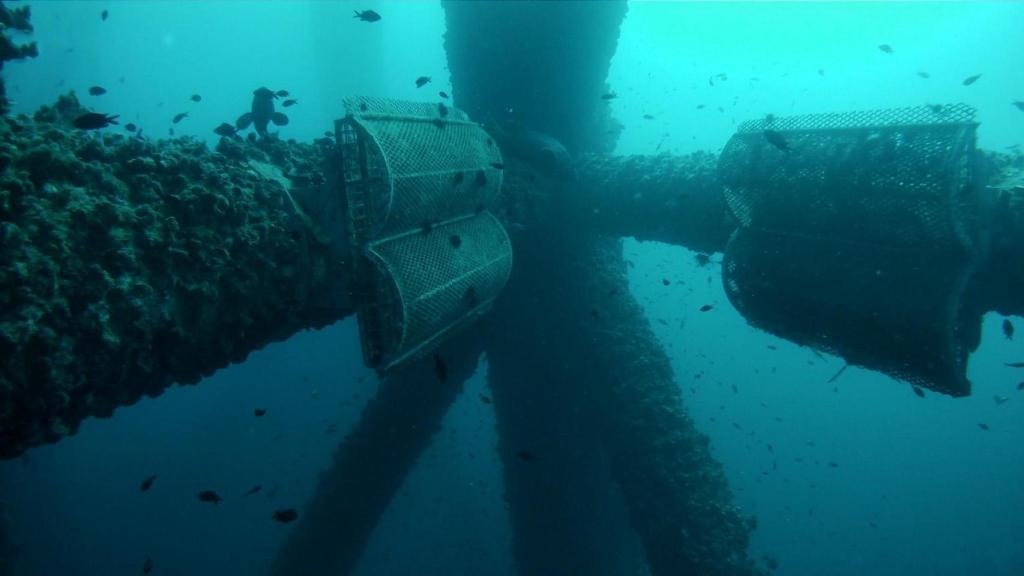 Micro arrecifes biomiméticos de Ocean Ecostructures en una plataforma petrolífera.
