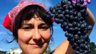 Eva Amaral recogiendo uvas.