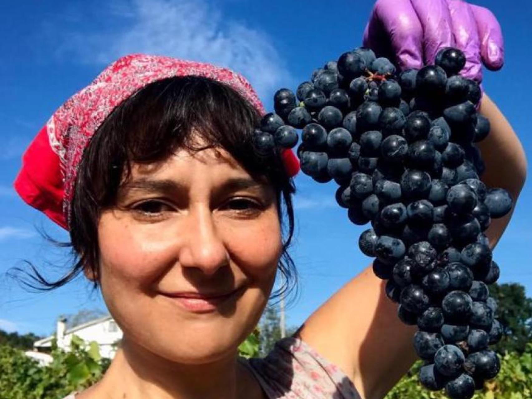 Eva Amaral recogiendo uvas.