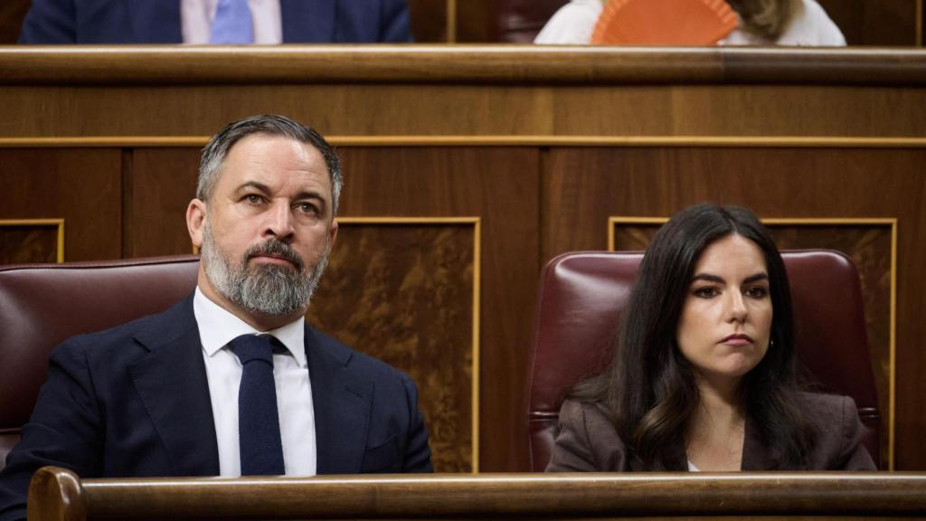 Los dirigentes de Vox Santiago Abascal y Pepa Millán, en el Congreso.