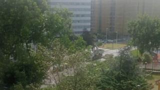 Comienza la tala de árboles en la plaza de la Tolerancia de A Coruña